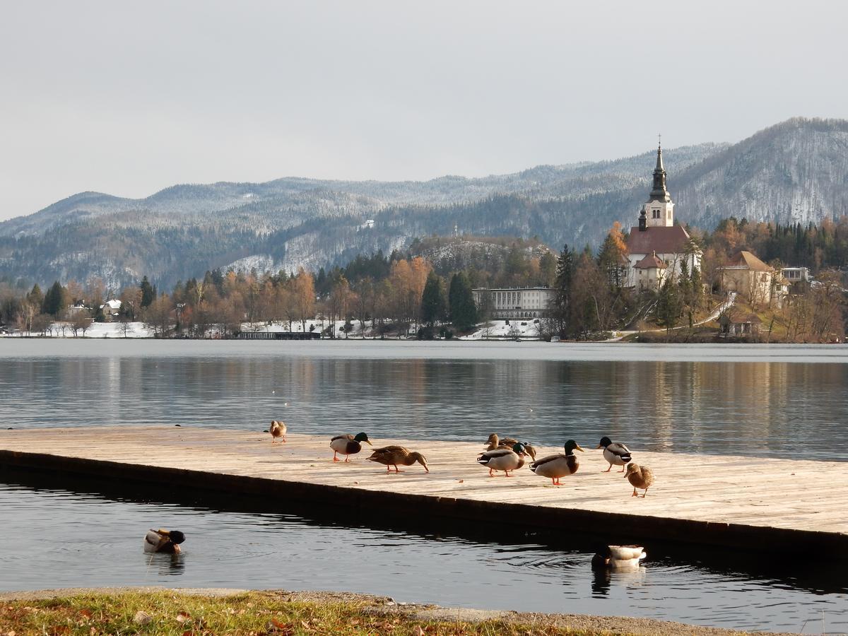 Lake House Sebanc Bled Ngoại thất bức ảnh